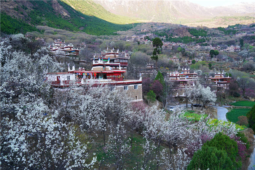四川甘孜有个藏寨，一到春天就美成了画，观景台5元票价很值得
