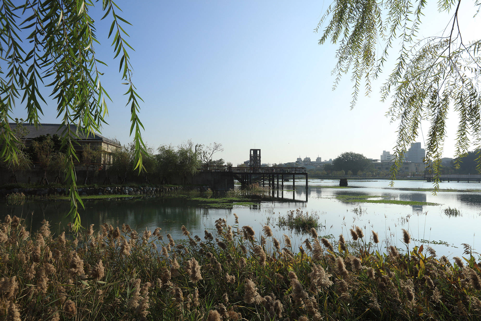 以生态为本的都市再生上典景观吴静宜台中帝国制糖厂涌泉公园横扫国际