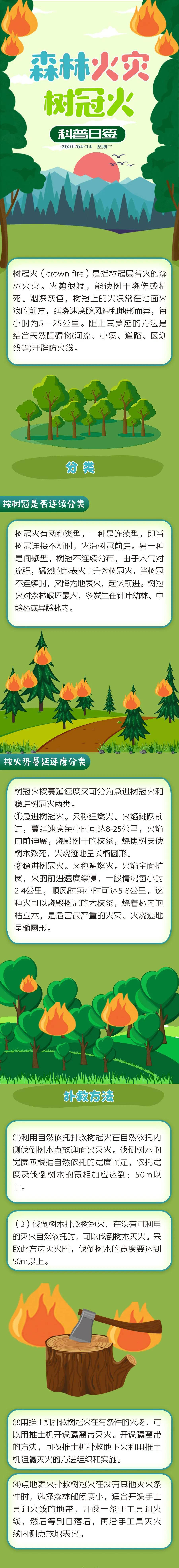 森林草原防灭火丨树冠火的分类及扑救方法