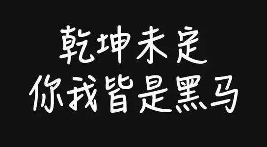 乾坤未定你我皆是黑马附初三全学科逆袭计划