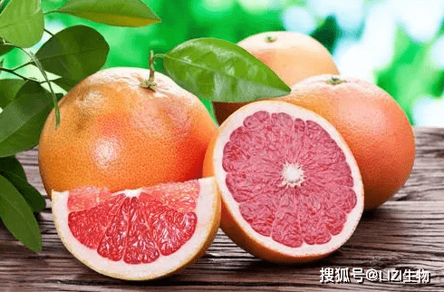 6821b253188d45359a328dfc17e6495b.png