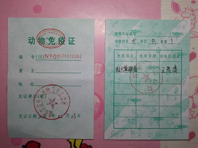 宠物打疫苗的陷阱你遇到过吗