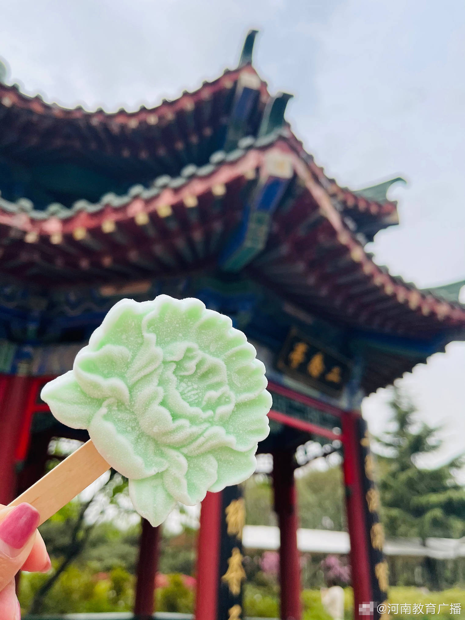 洛阳公园推出牡丹花冰淇淋 造型生动深受市民喜爱