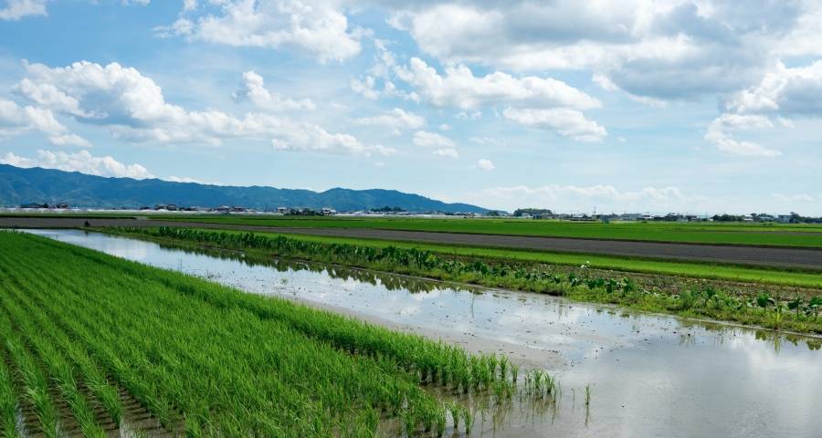 家电企业造车热再起，华为美的海信康佳酷开苏宁各自闯荡！-家电圈官网