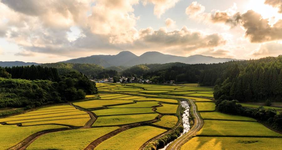 家电企业如何在市场乱象中胜出？-家电圈官网