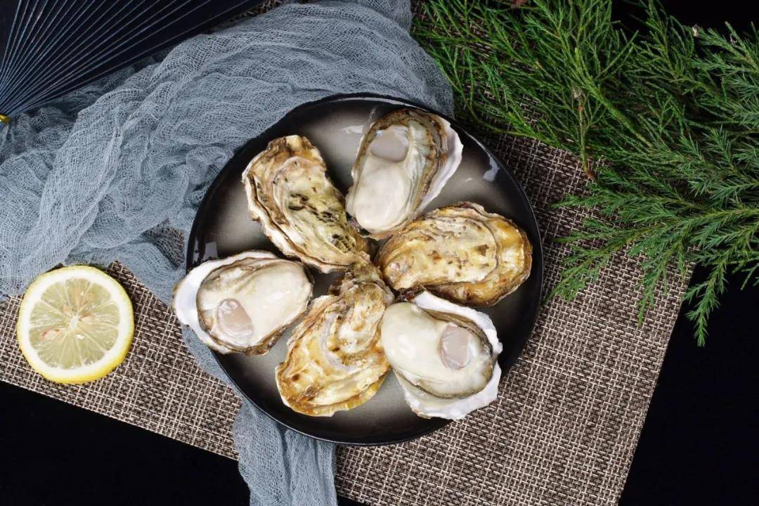 如何挑选海蛎子 65f6c6b9e8ec40fc94c7dea76d6ac7ff.jpeg