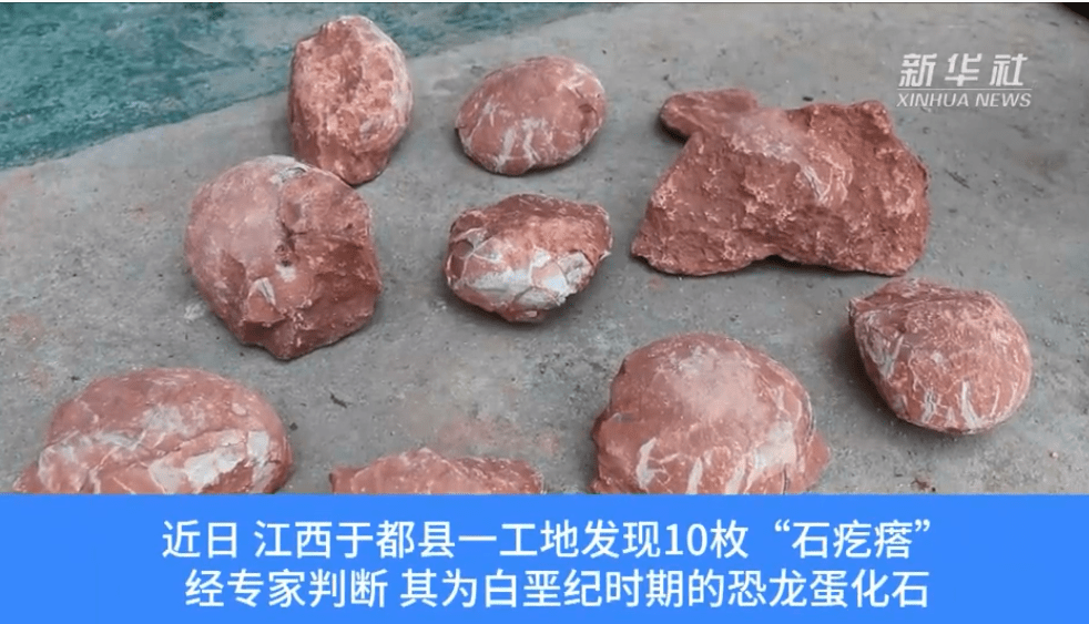 江西工地挖出6600万年前恐龙蛋化石
