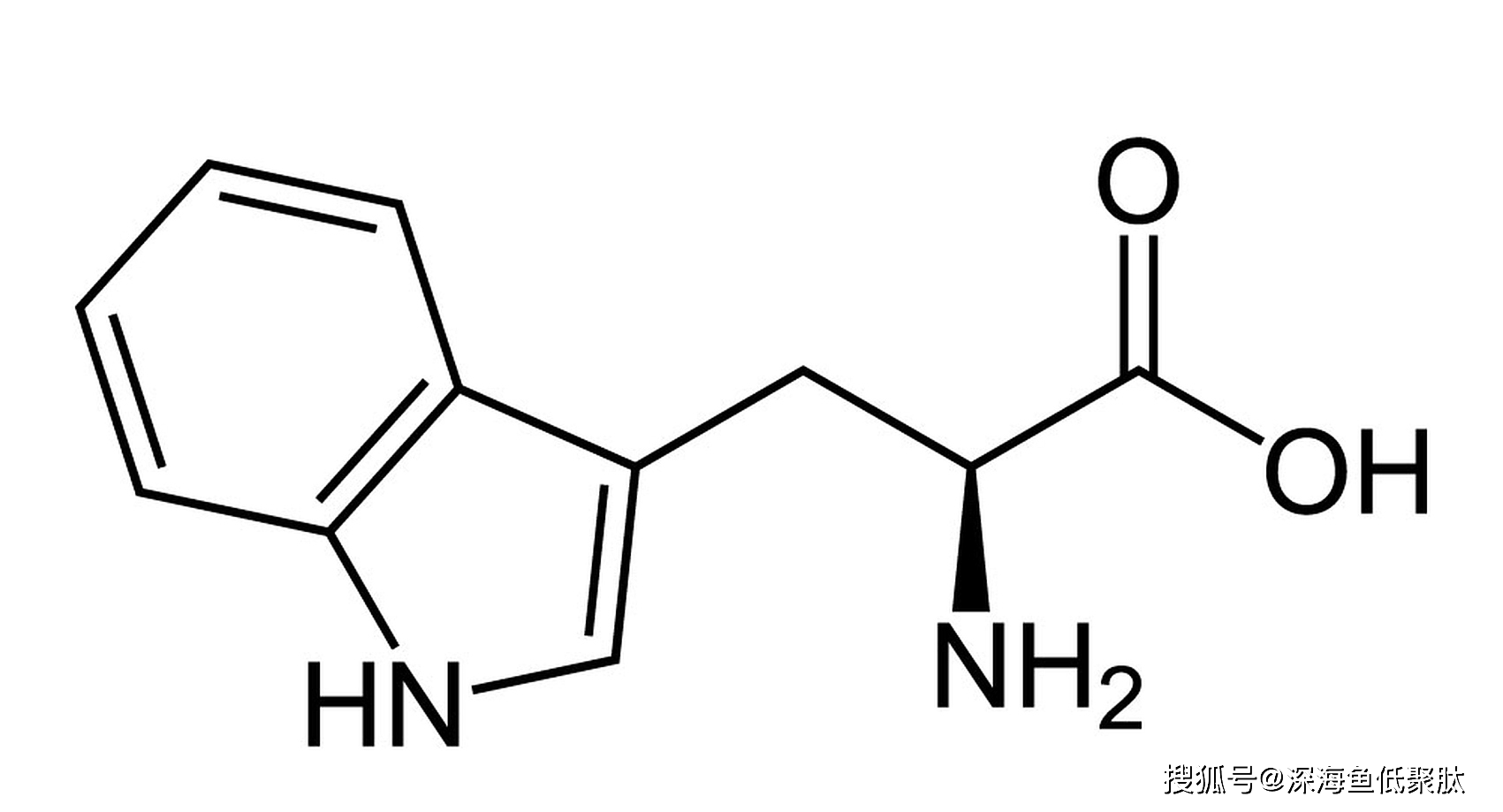acb243abae1141df8c4404ca21f536b8.png