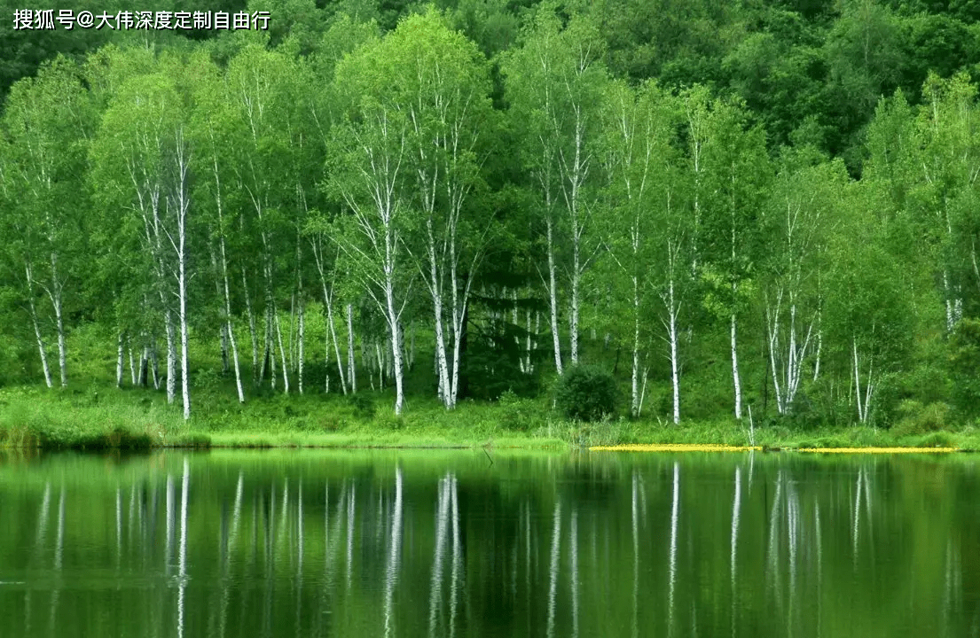 一路向北邂逅極光醉氧在大森林3日經典遊