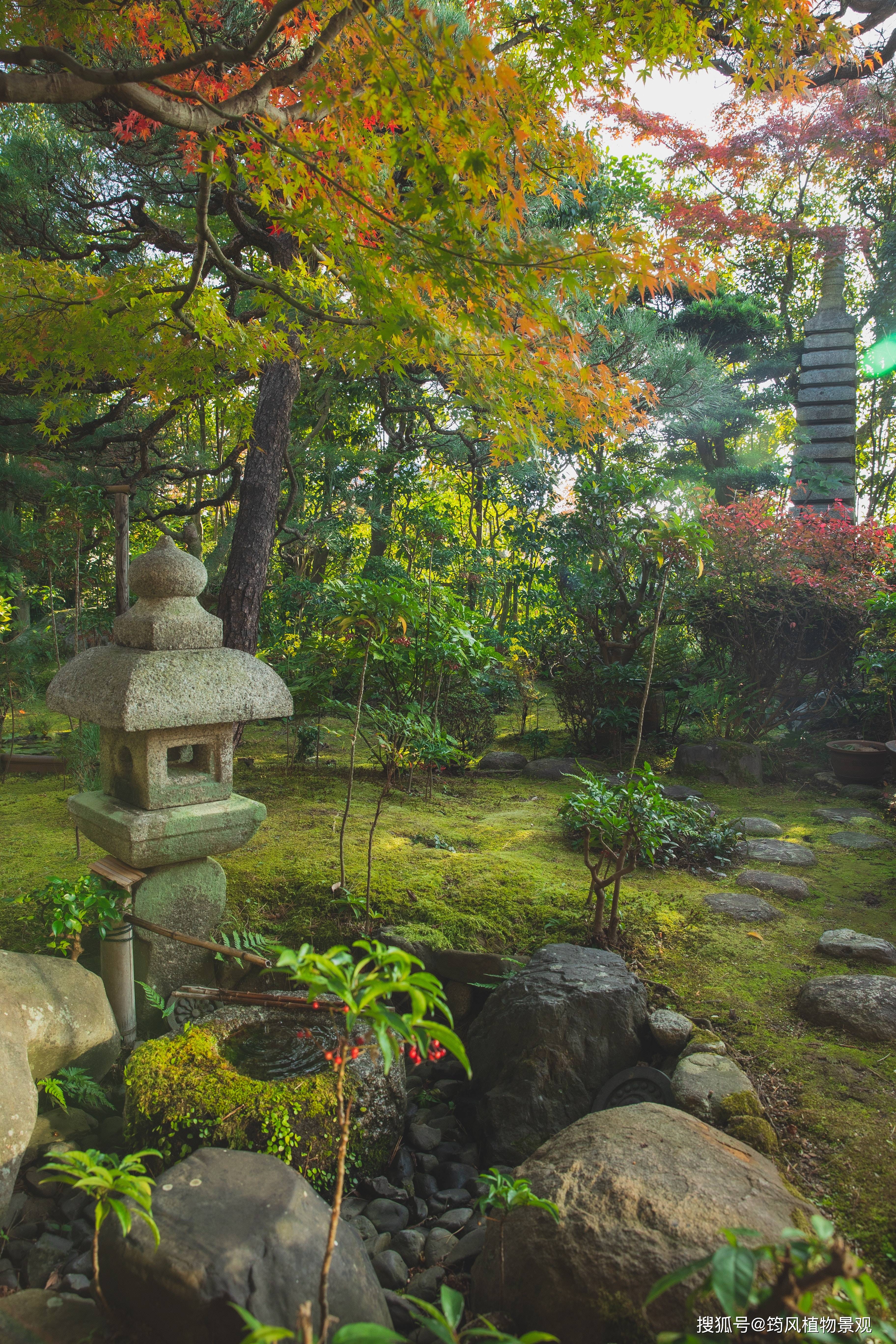 一块山石的亲身讲述带你跨越千年见证日本庭院的诞生与演变