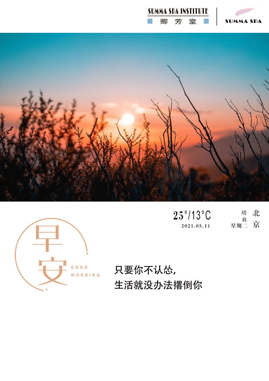 只要你不认怂生活就没办法撂倒你