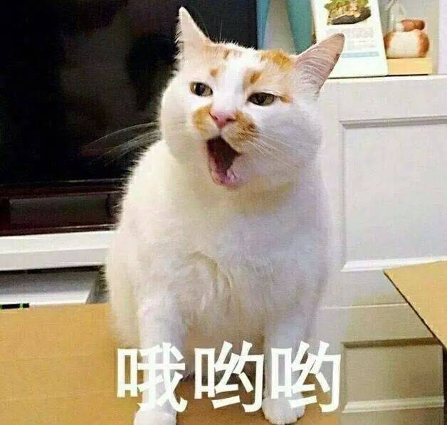 华晨宇还有二胎儿子?为何还有人愿意为他秘密产子