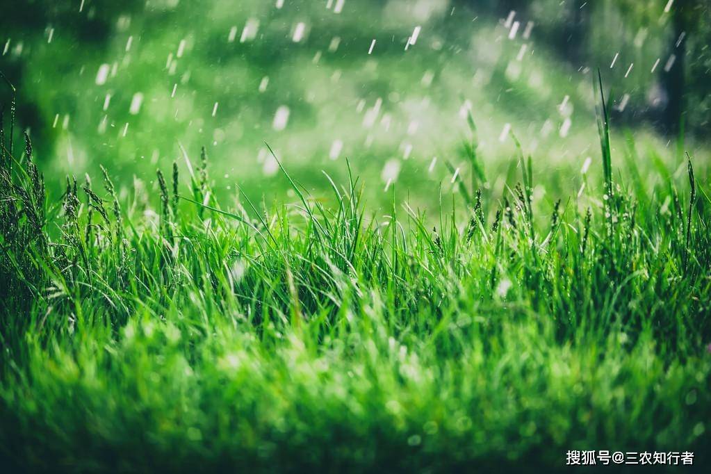 四月雨,好动锄八月八落雨,八个月无焦土水是庄稼血,肥是庄稼粮.