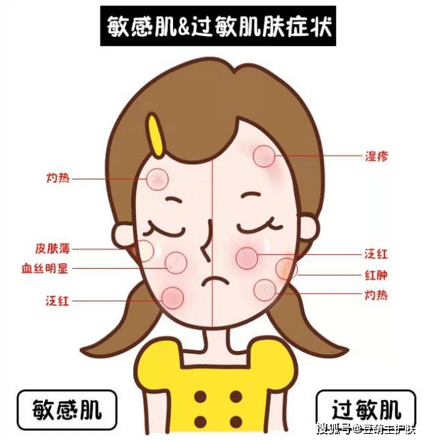 8b6426eb2a5a4b5abd65d451bb1fed6b.png