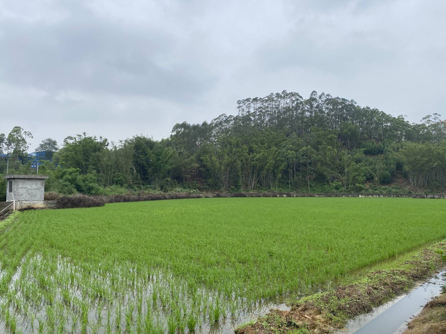建设美丽乡村——垦造水田篇(270)