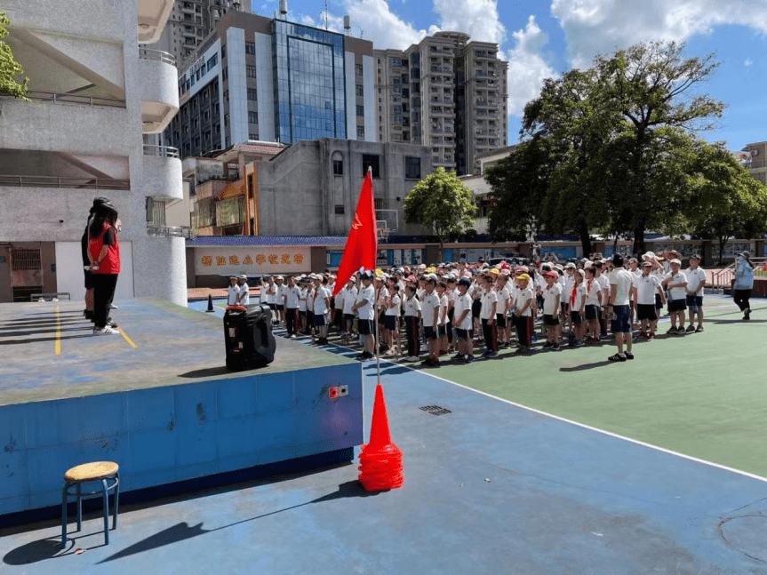 青春无毒,逐梦未来 杨仙逸小学禁毒反诈消防教育宣传活动