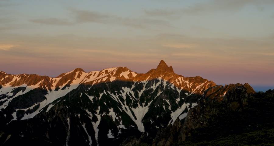 家电业今年再现激进式增长的背后-家电圈官网