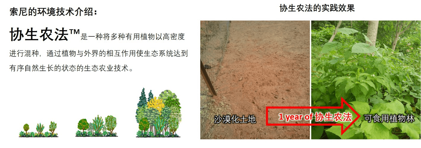 做展会不忘做公益 索尼三箭齐发 助力中国可持续发展-家电圈官网