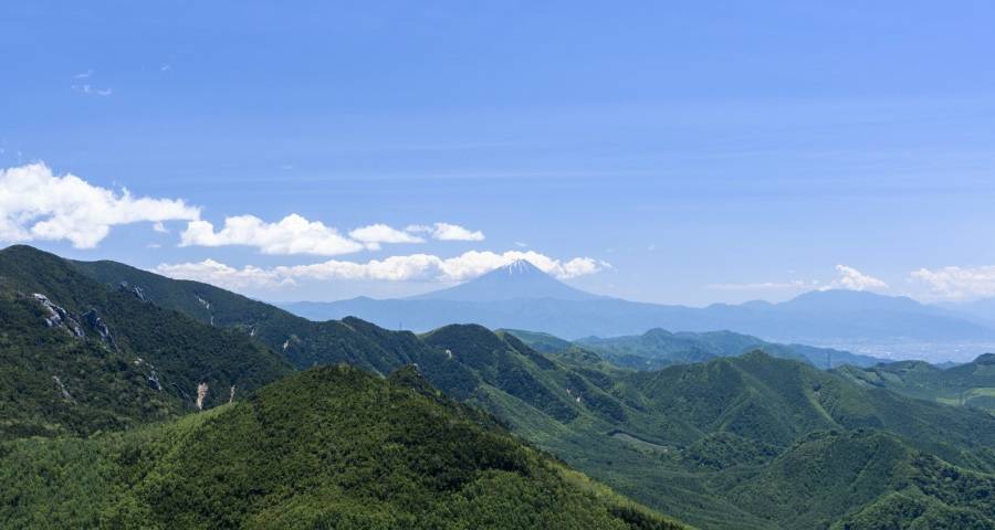 家电业618风口提前来了,华为索尼海尔美的海信格兰仕齐上攻!-家电圈官网