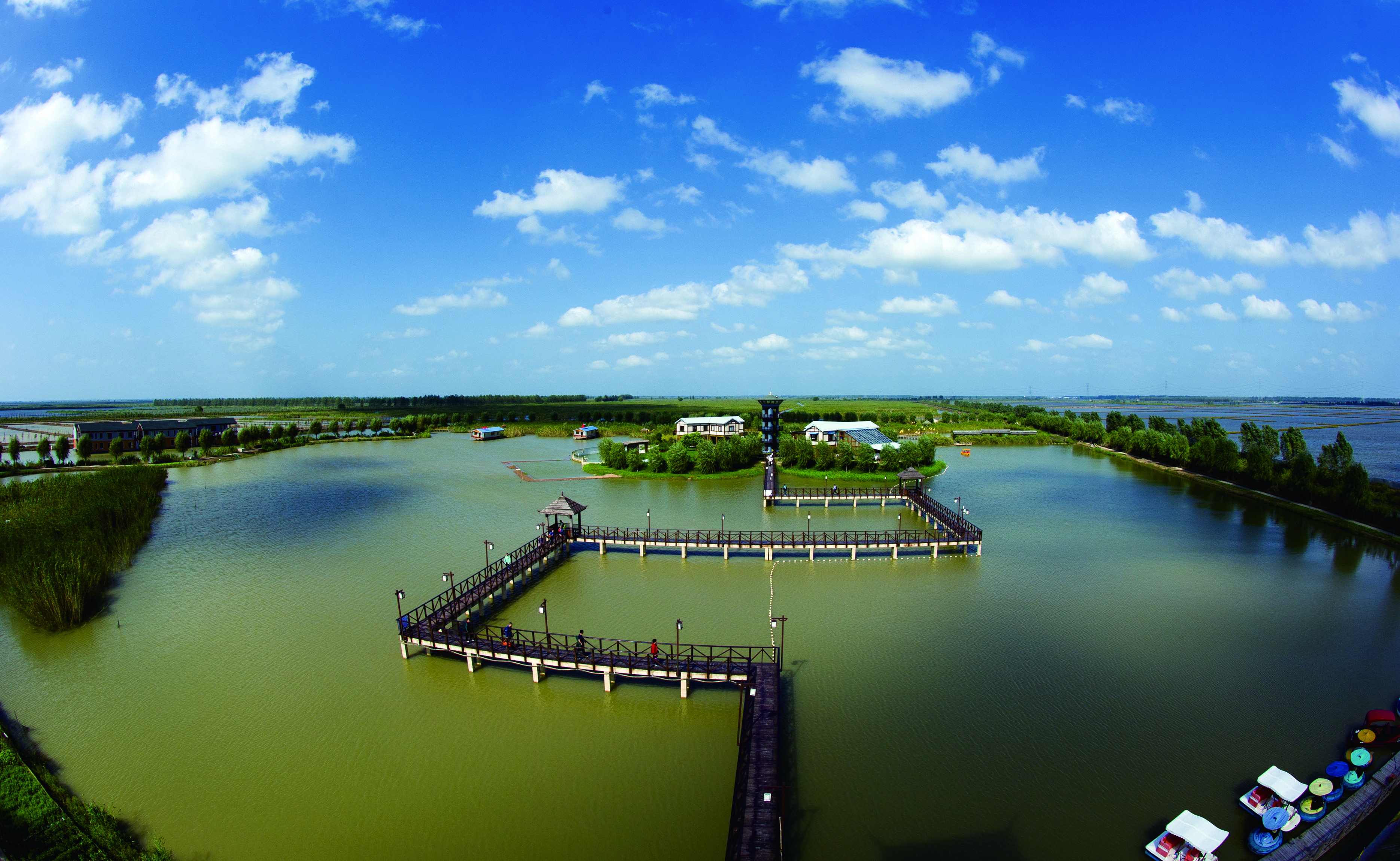 高邮珠湖湿地公园图片