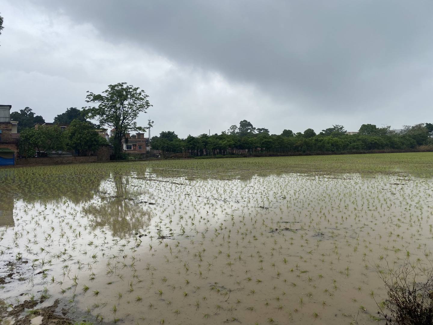 建设美丽乡村垦造水田篇272