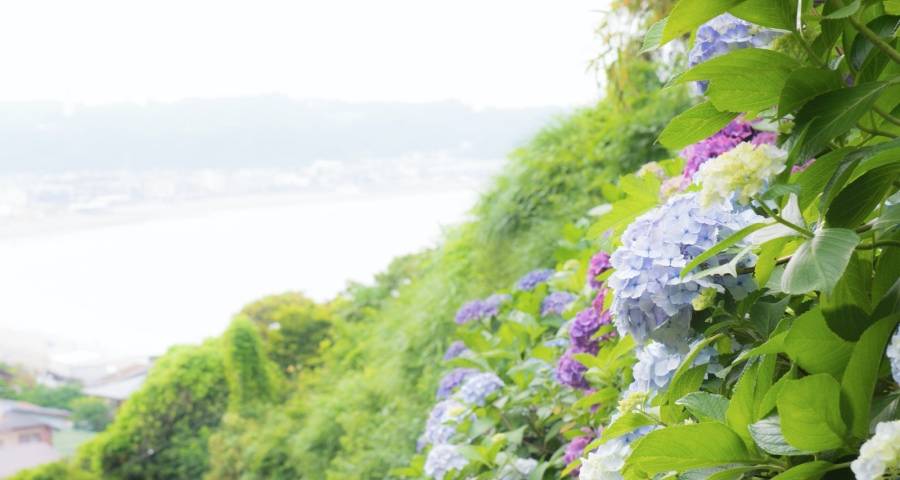 家电厂商情绪两极分化，资本回购新品首发动销抢单各显身手-家电圈官网