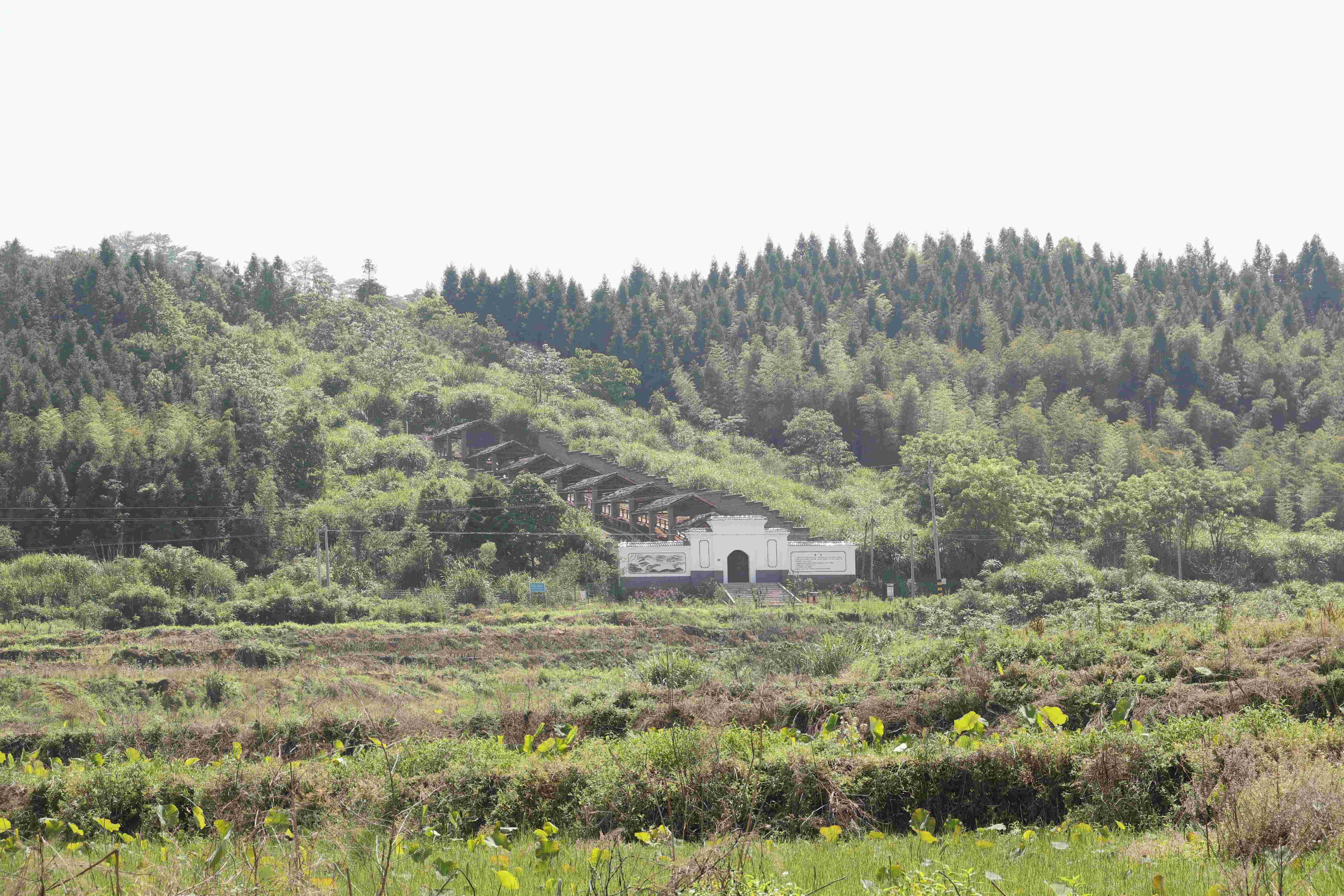 卓小淘创始人探访建窑遗址村亲身体验建盏烧制过程