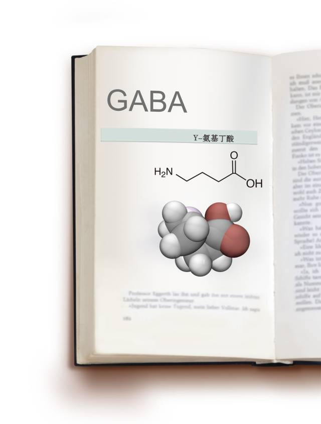 gaba受体的分类及其相关功能