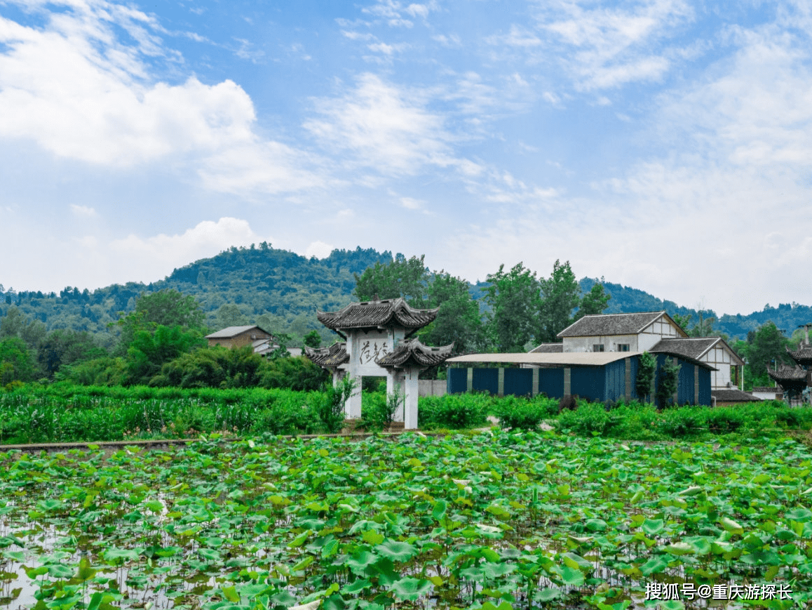 感受IM电竞 IM电竞平台重庆大足旅游魅力除了大足石刻这里还有许多好去处(图7)