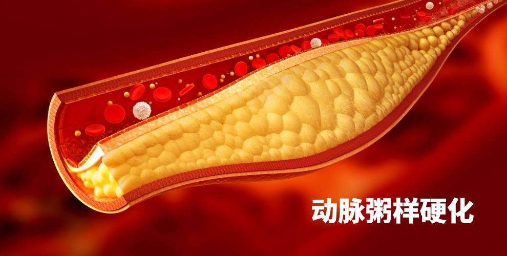 地表最强抗氧化剂?盘点虾青素那些已经被证实的强大功效