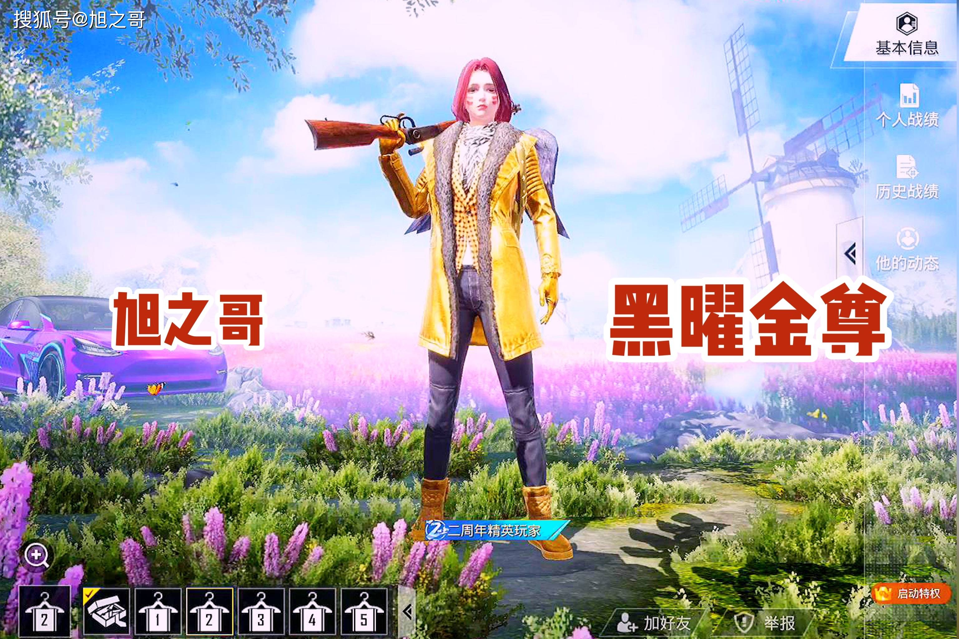 和平精英不同kd值对应不同游戏段位查看您在其中的段位吧