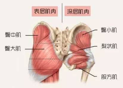 腿疼腿麻别大意，当心是梨状肌综合征找上门