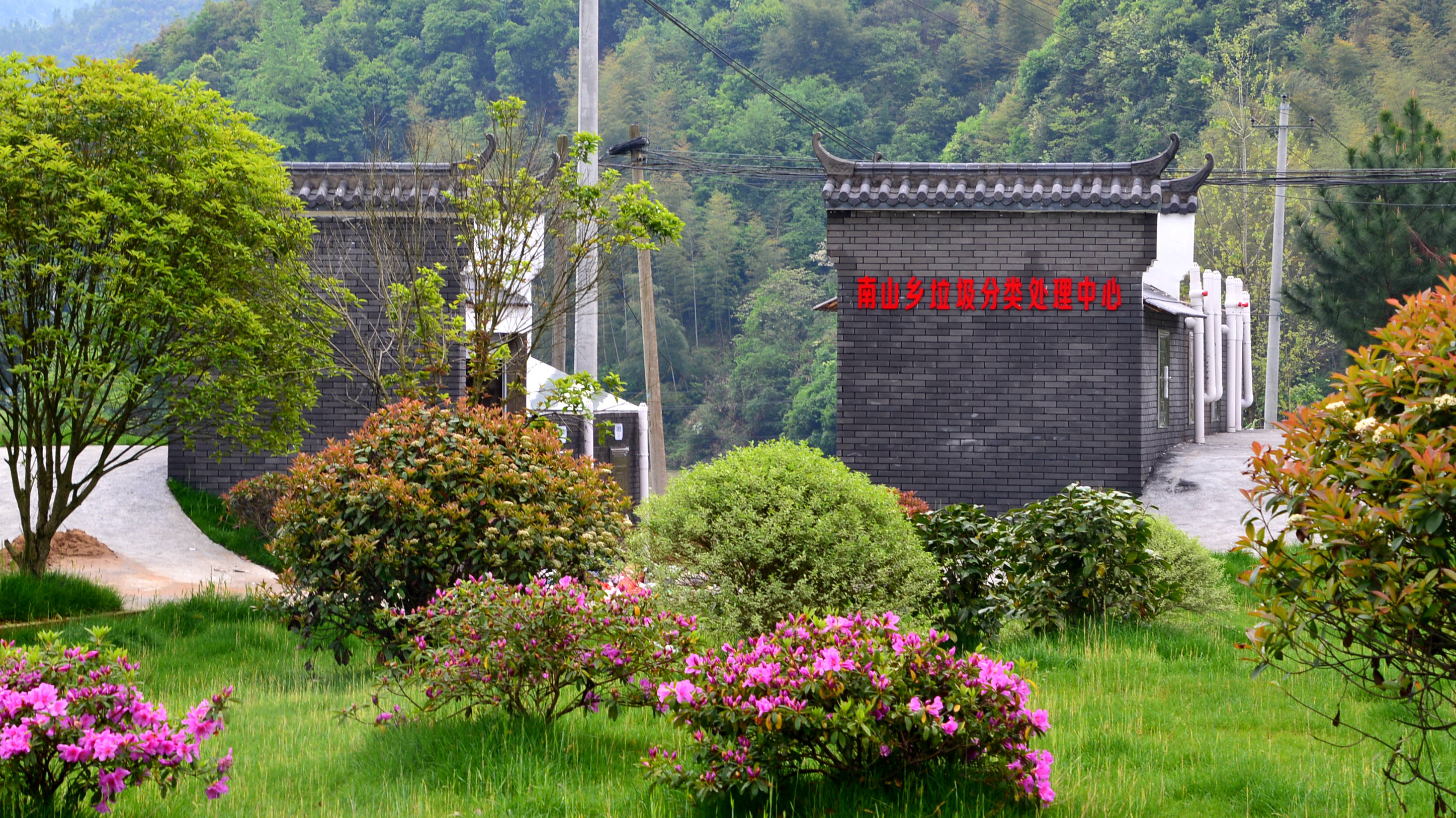 相伴是最美的承诺,拍在上饶玉山县南山乡王坊村溪西淤