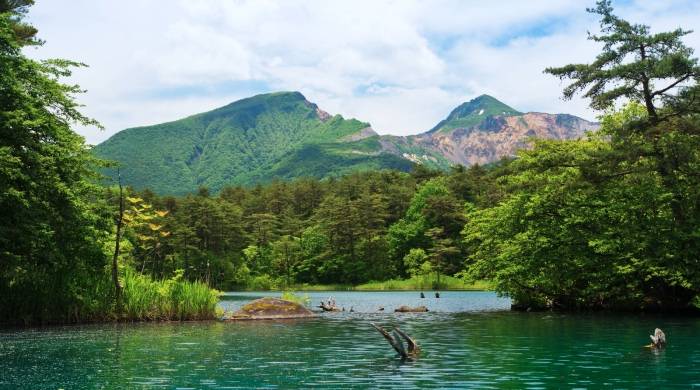 家电业正从虚假繁荣走向虚假繁忙,浮躁的心无处安放!-家电圈官网
