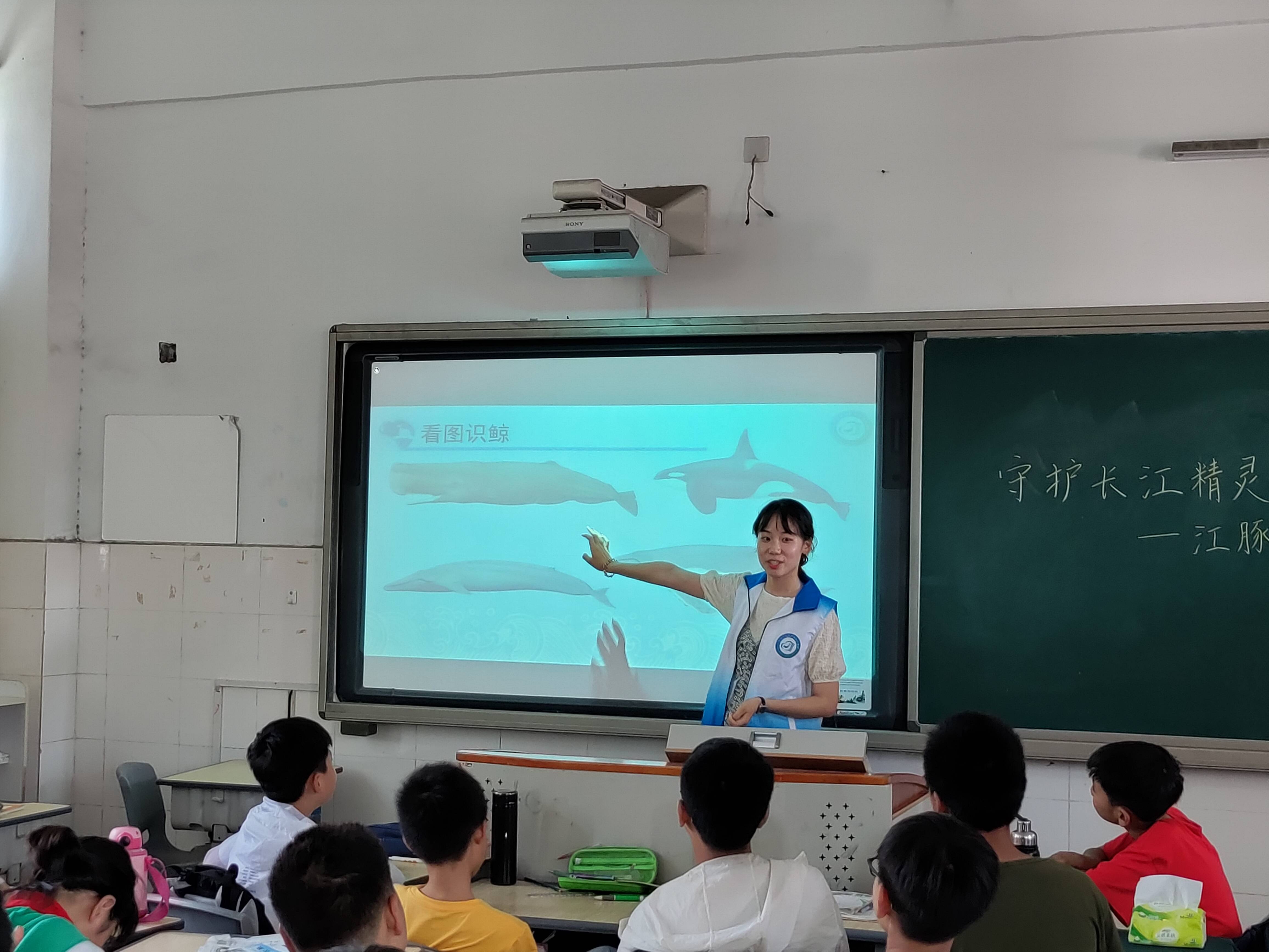安师大环协丨长江江豚科普走进芜湖市马塘小学