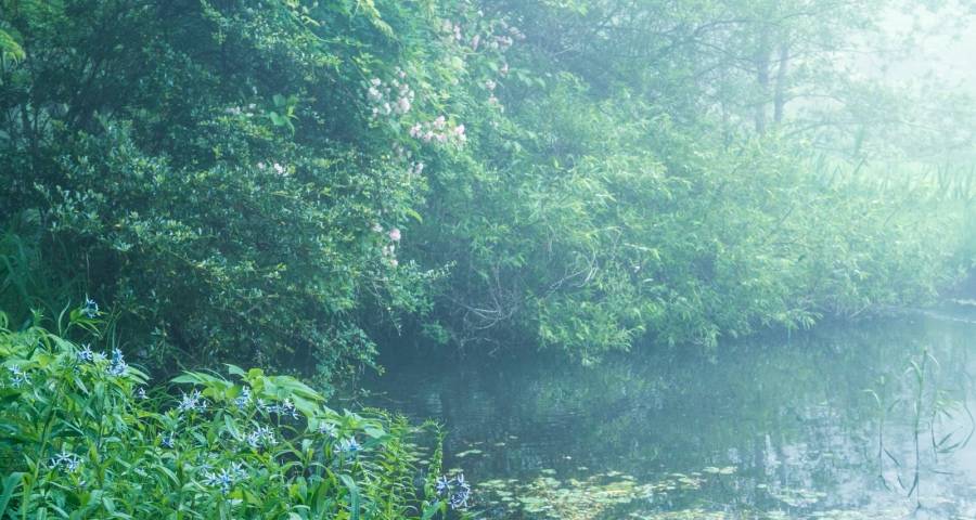 专业化门槛走高,多元化步伐加速,家电业到底想怎么干?-家电圈官网