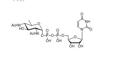 gmp与gdp(3)