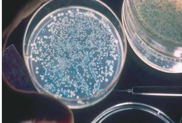 水烧开的现象描述 b8454e4eb4354811a6d2f3175d8a6de9.jpeg