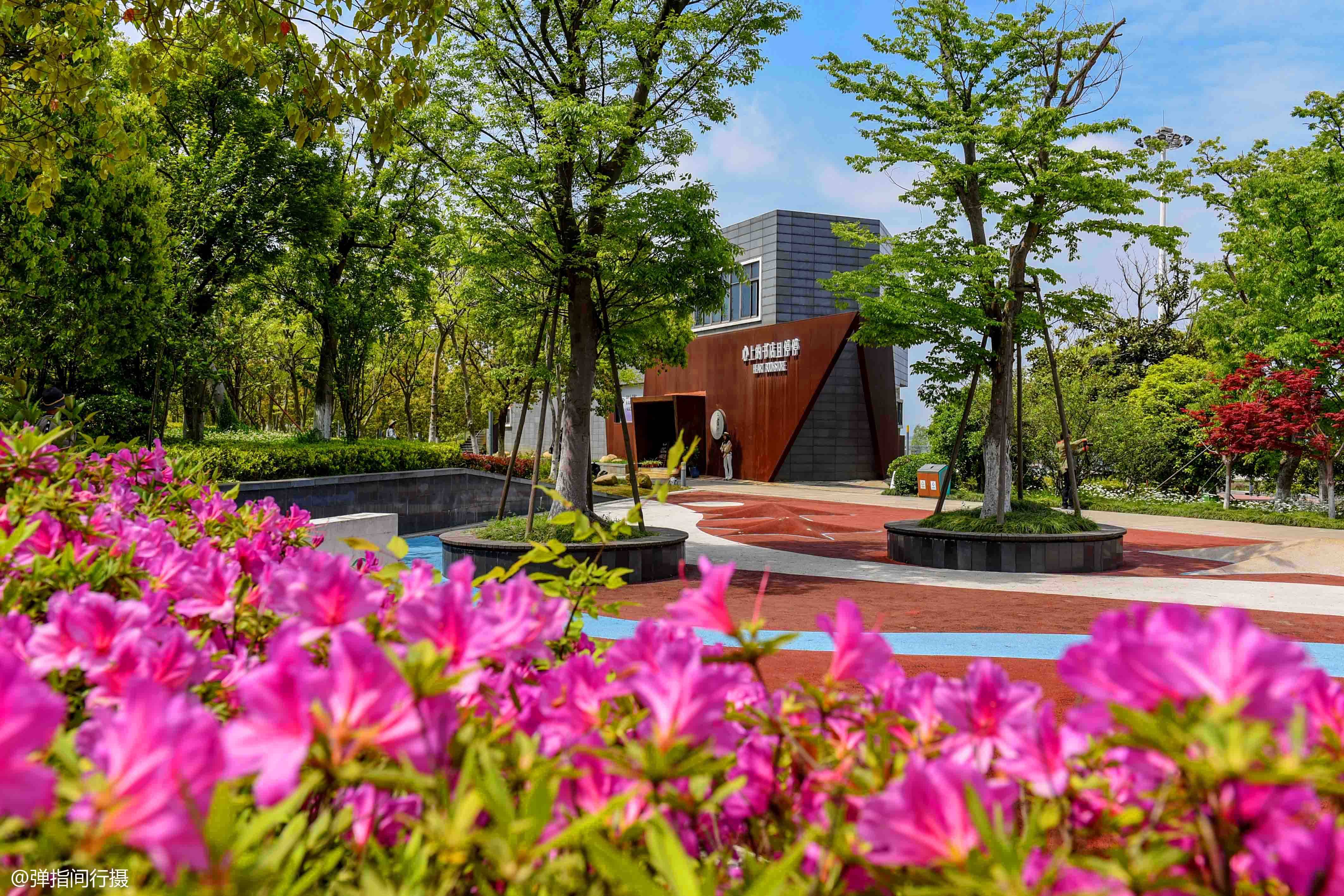 江苏有座"花园城市",毗邻上海,环抱太湖,买房要"摇号"