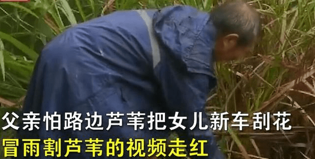 芦苇视频怎么拍 778f4d5421a542079fdf9ed78054928a.png