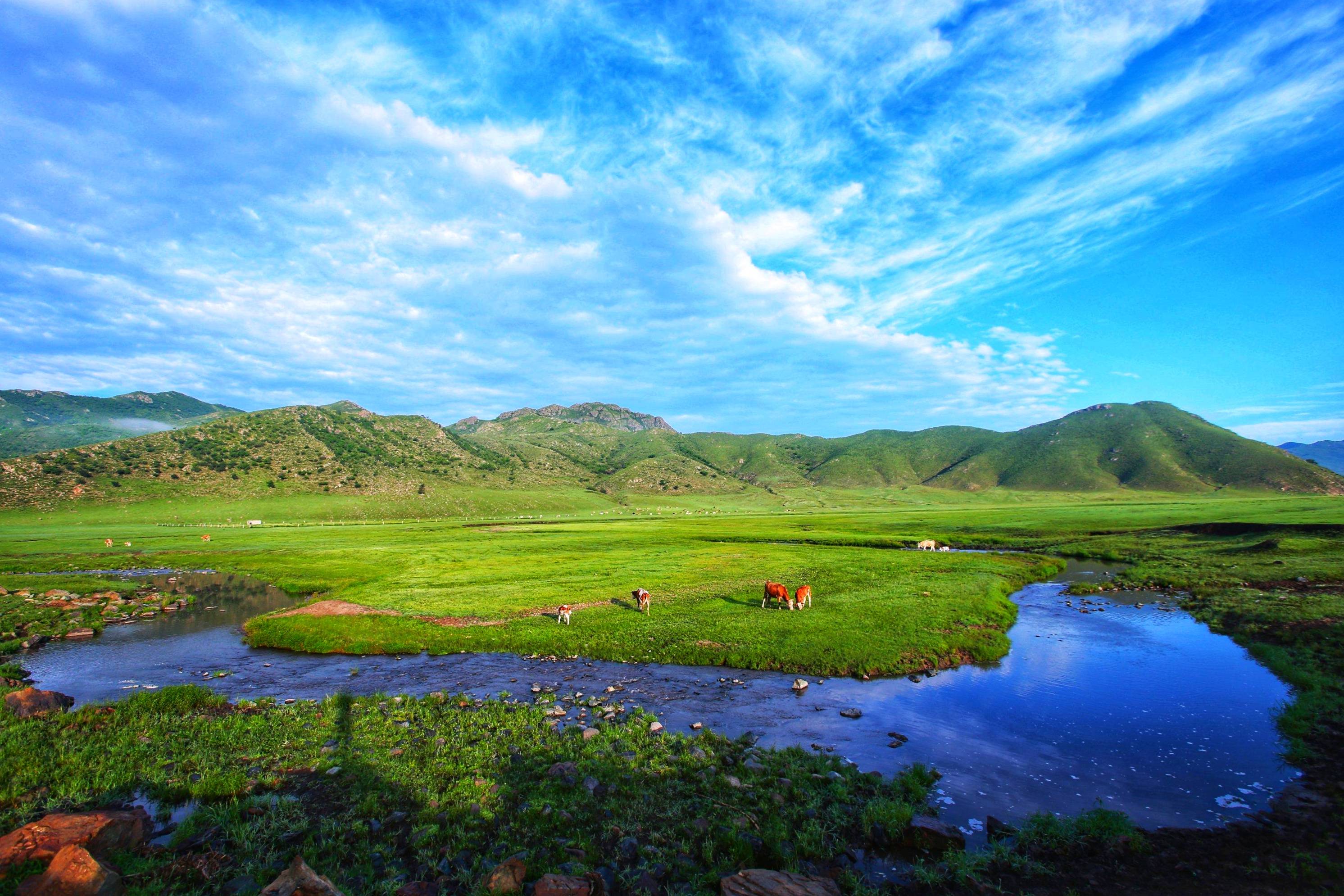 摄影师候杰美丽的草原我的家