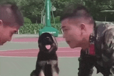 b7cb4479184d45528af438d134349127.gif