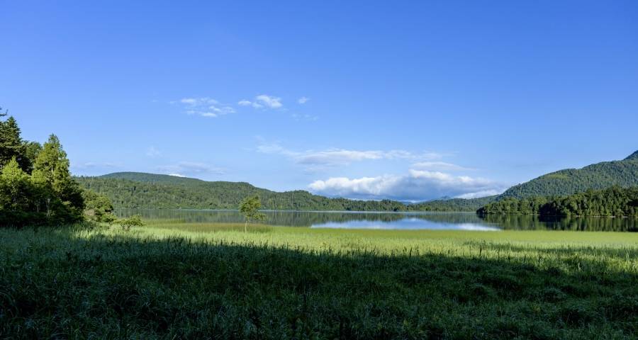 家电巨头纷纷股权激励员工，海尔美的长虹再抢占智能家居赛道-家电圈官网