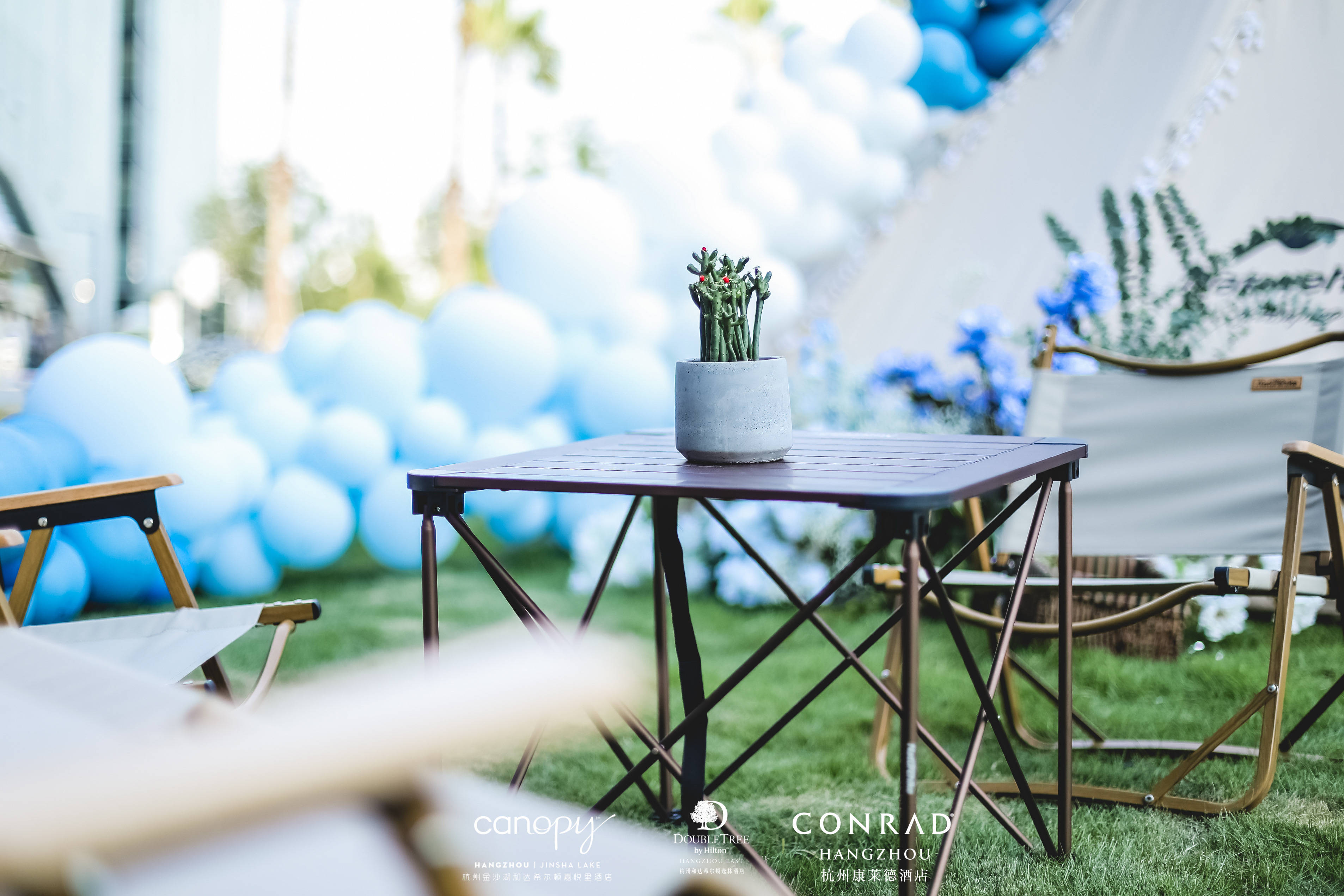 "很高兴会见你"——希尔顿夏日草坪派对