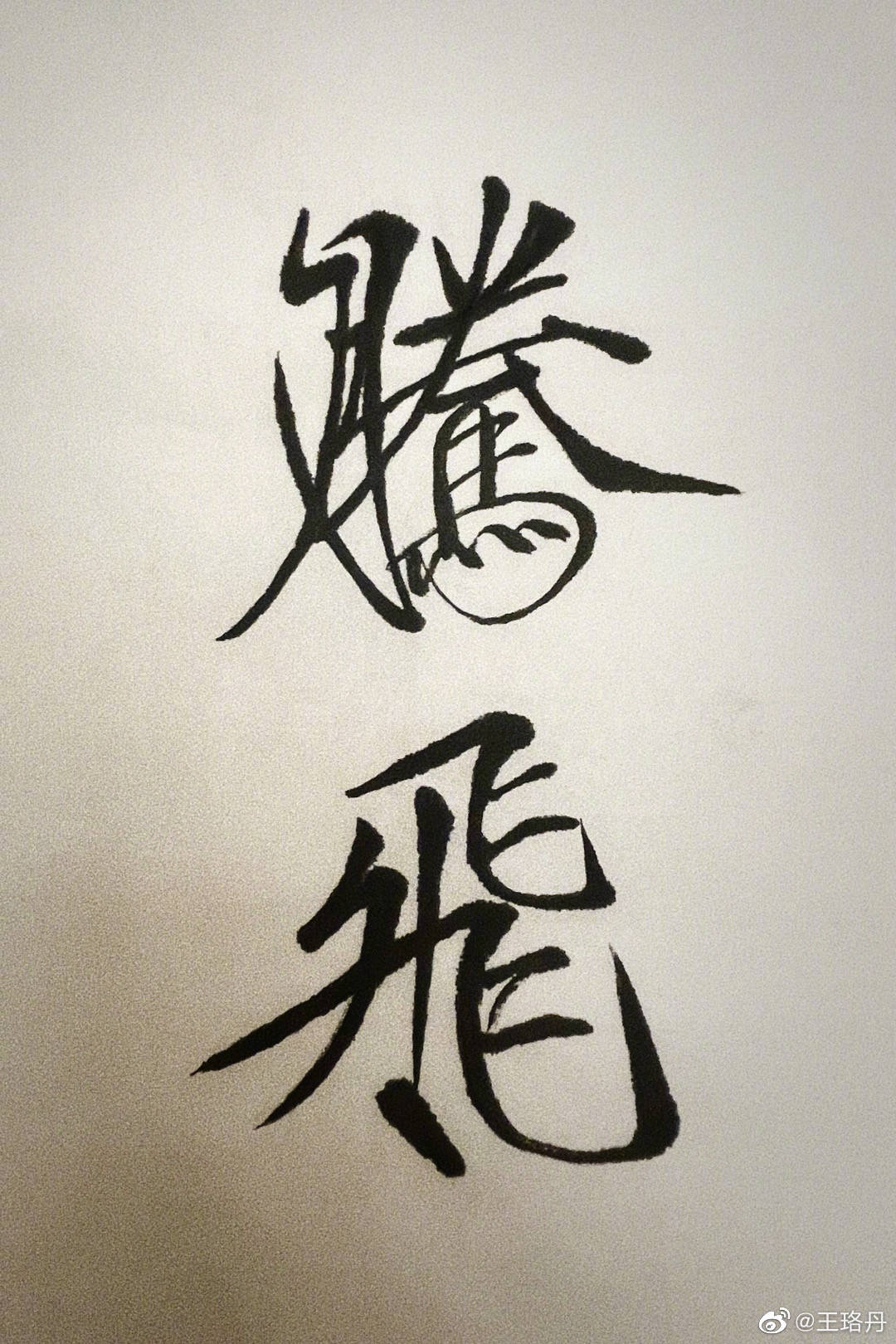 王珞丹《我们的新时代》收官 手写腾飞致敬航空强国梦