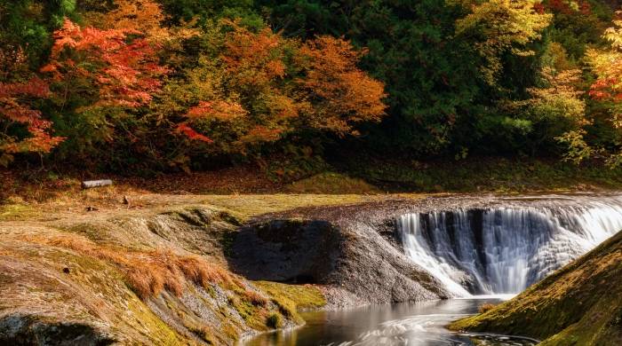 市场变好还是更坏？踏实赚钱才是家电厂商的核心追求-家电圈官网