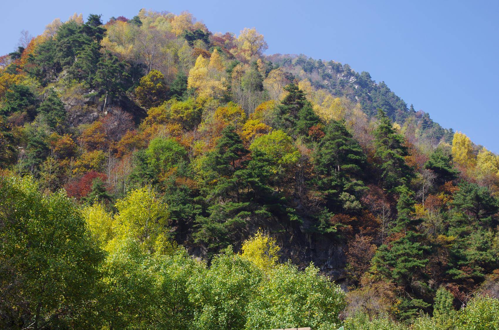 现在的孟达天池太像一个景区了,与十年前,二十年前相比,多了整齐和