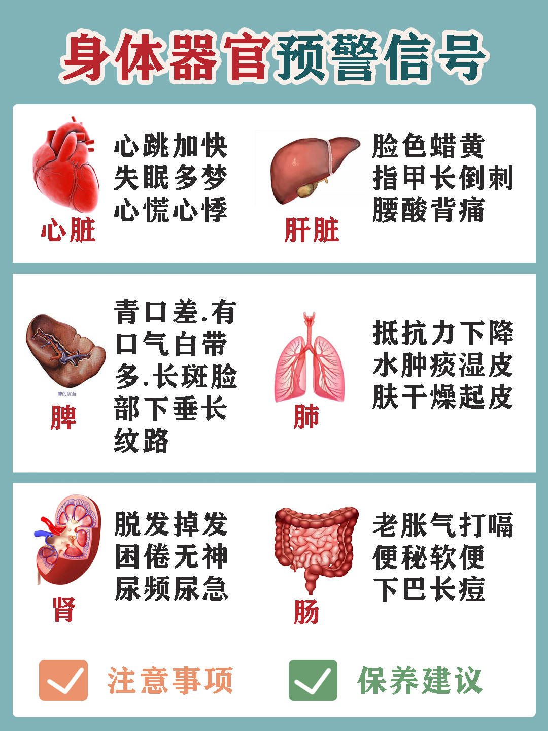 一圖看懂人體器官健康預警表