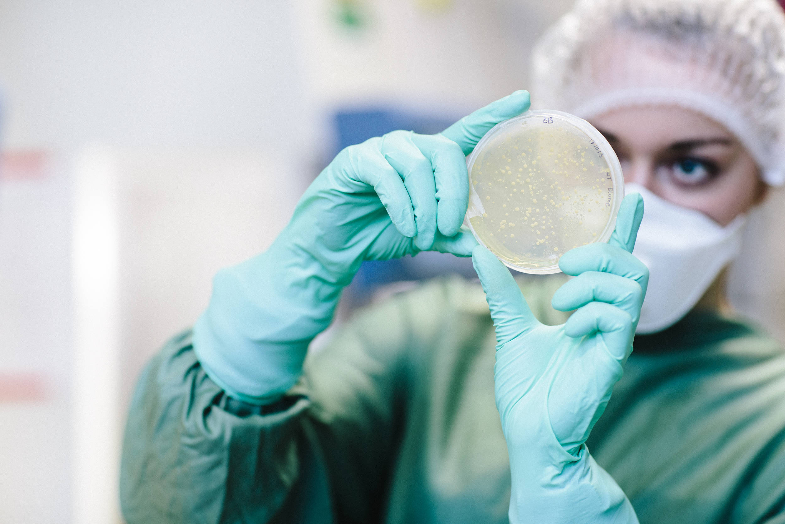 用酵母打造“多功能益生菌”,科学家发现治疗炎症性肠炎新方法