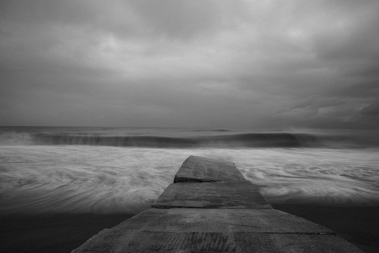 最大的确定性就是承认不确定性|读塔勒布的《黑天鹅》_现象